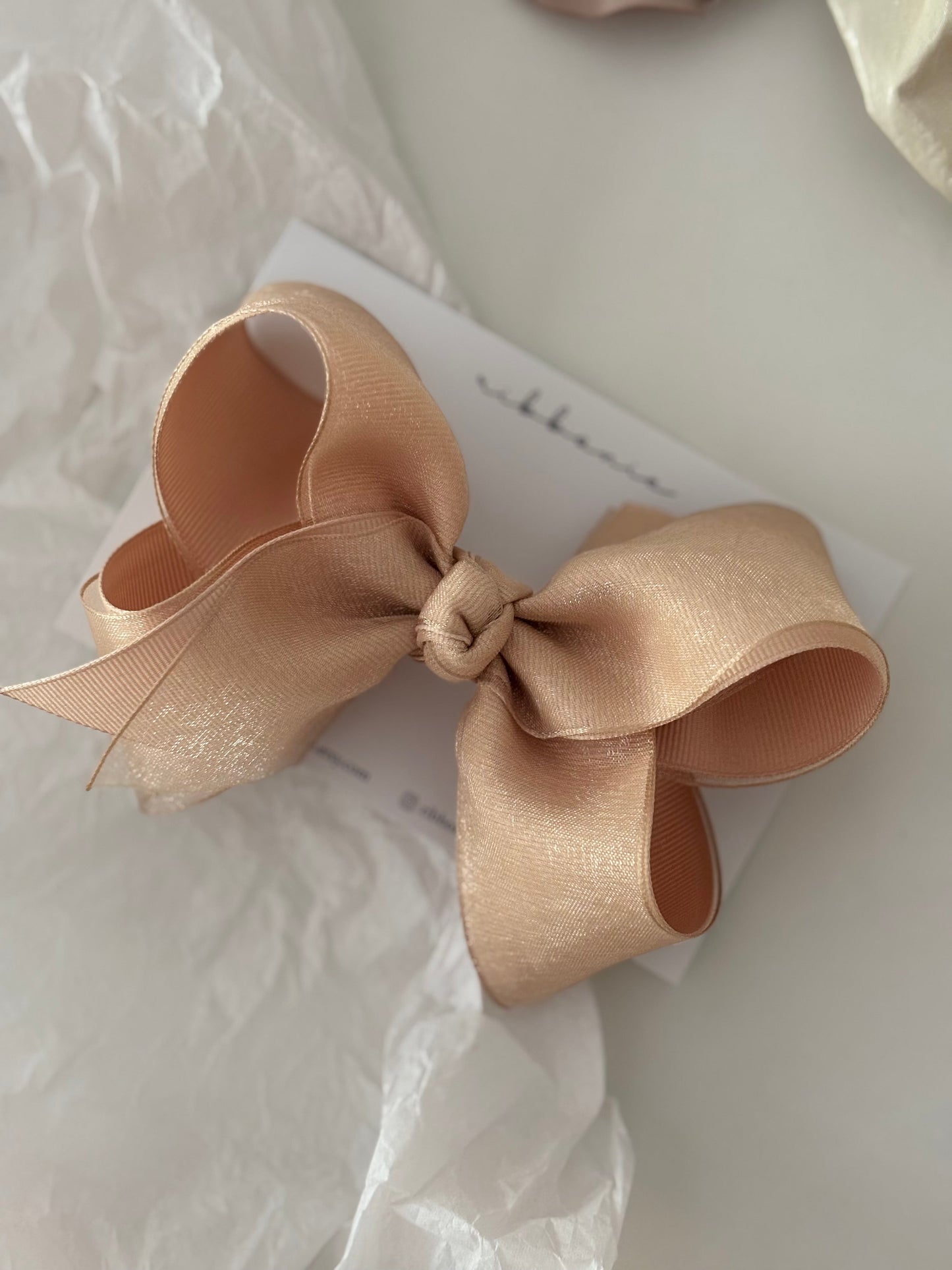 Luxe Organza Grosgrain Hair Bow – Girls’ Alligator Clip ribbonie