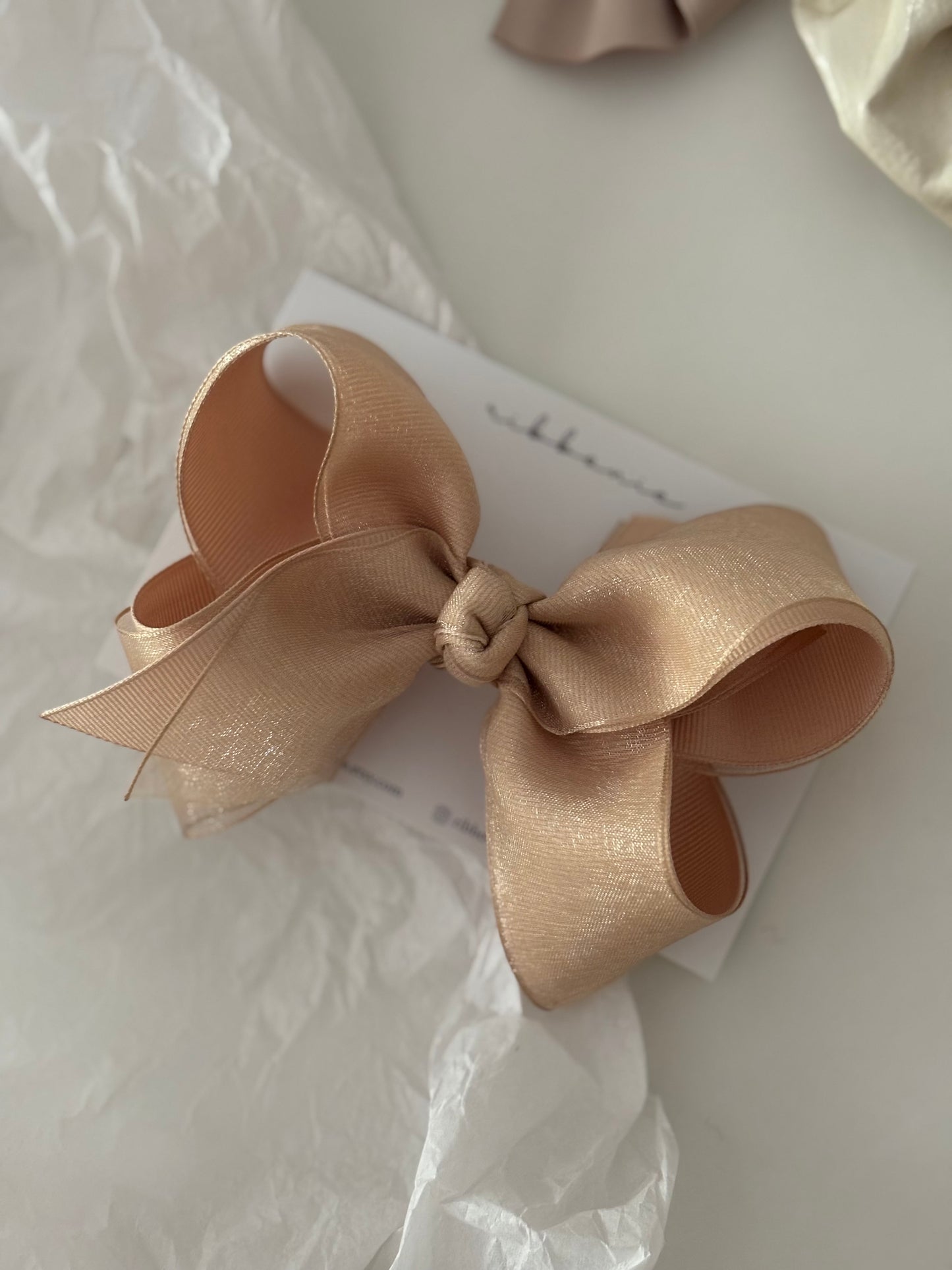 Luxe Organza Grosgrain Big Bow Hair Clip